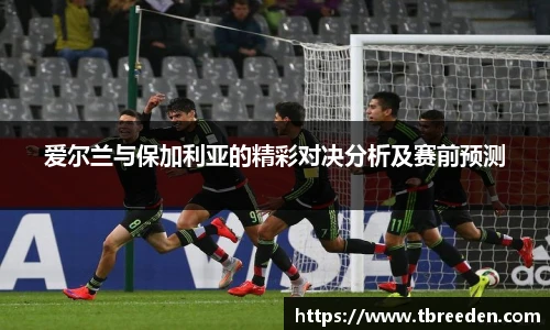 爱尔兰与保加利亚的精彩对决分析及赛前预测