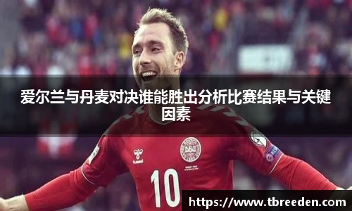 爱尔兰与丹麦对决谁能胜出分析比赛结果与关键因素