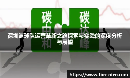 深圳篮球队运营革新之路探索与实践的深度分析与展望