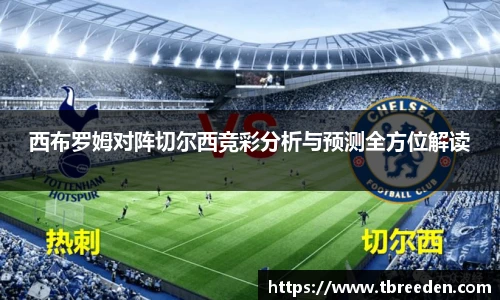 西布罗姆对阵切尔西竞彩分析与预测全方位解读
