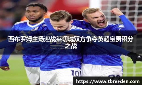 西布罗姆主场迎战莱切城双方争夺英超宝贵积分之战