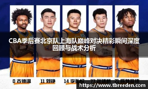 CBA季后赛北京队上海队巅峰对决精彩瞬间深度回顾与战术分析