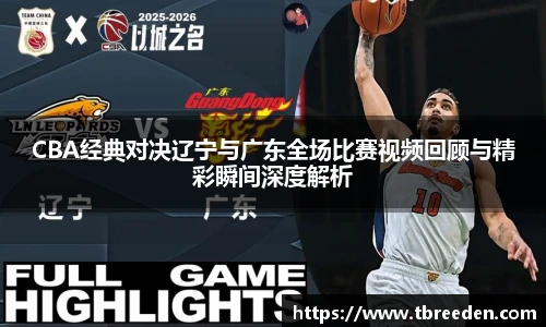 CBA经典对决辽宁与广东全场比赛视频回顾与精彩瞬间深度解析